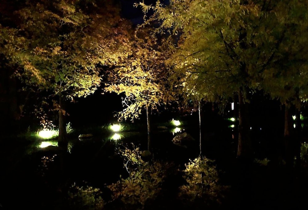 Photo 44