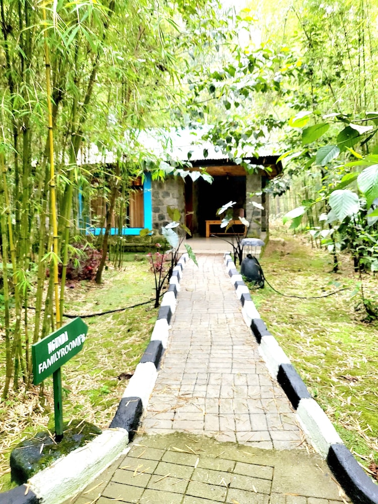 Bambou Gorila Hotel