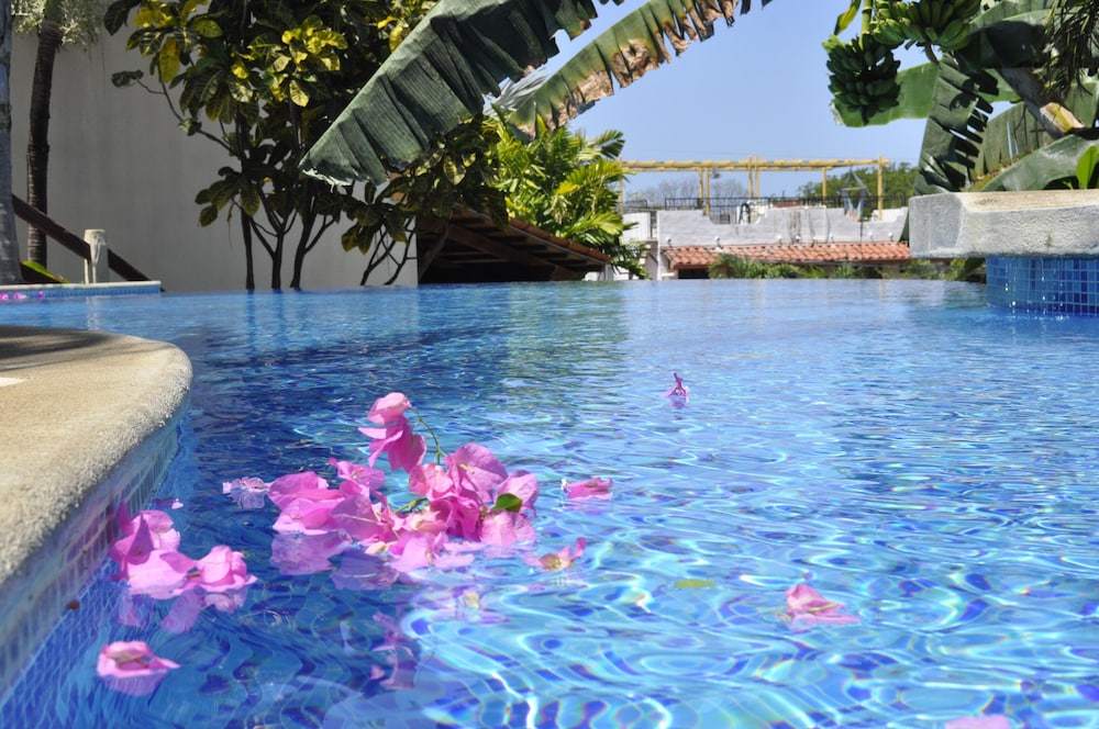 Tropical Gardens