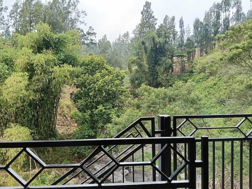 Dua Puteri Homestay Bromo