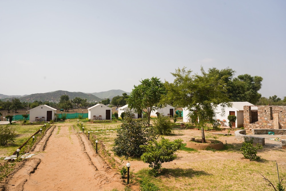 Pushkar Vacations - OYO 43032 Wild Woods Pushkar - Property Image 6