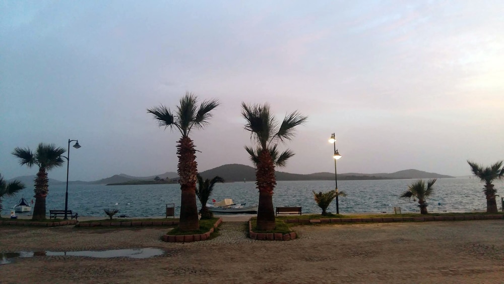 Aliye Hanım - Image 43