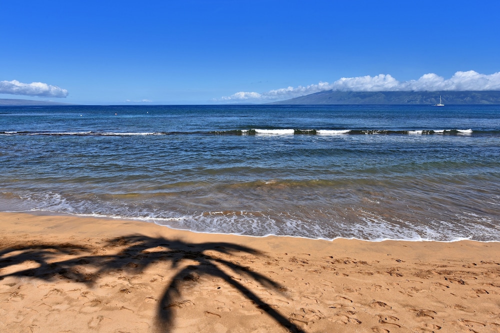 Kaanapali Shores #160 2 Bedroom Condo by RedAwning