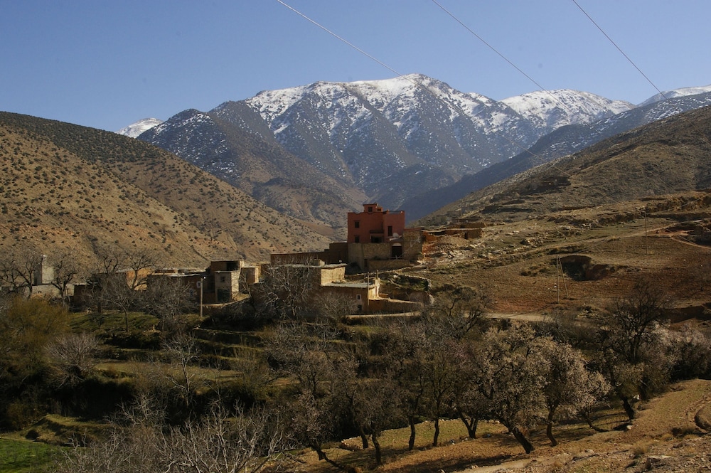 Photo 22
