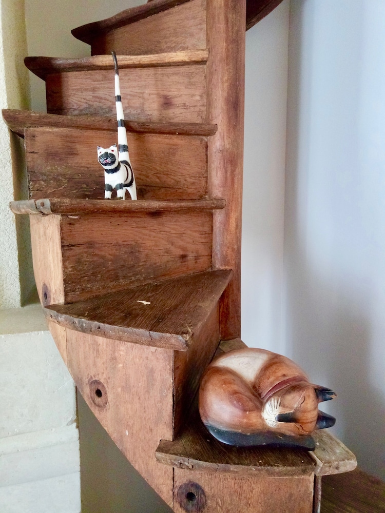 Photo 51