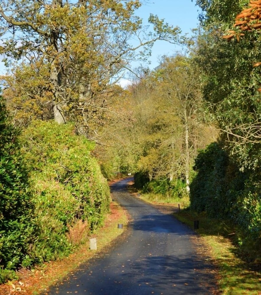 Finnich Cottages
