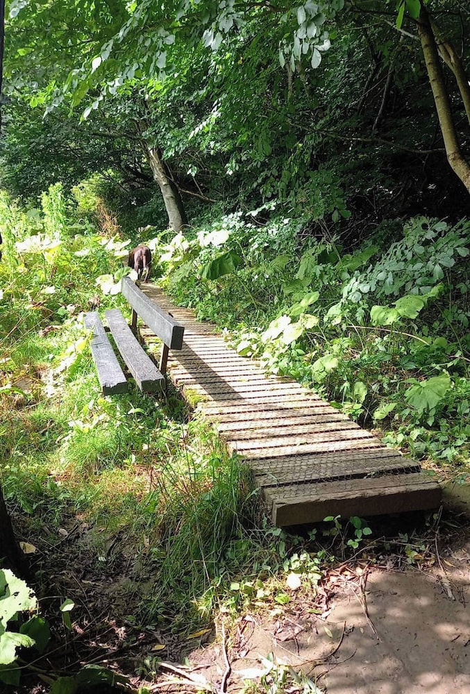 The Hive on the River Bank