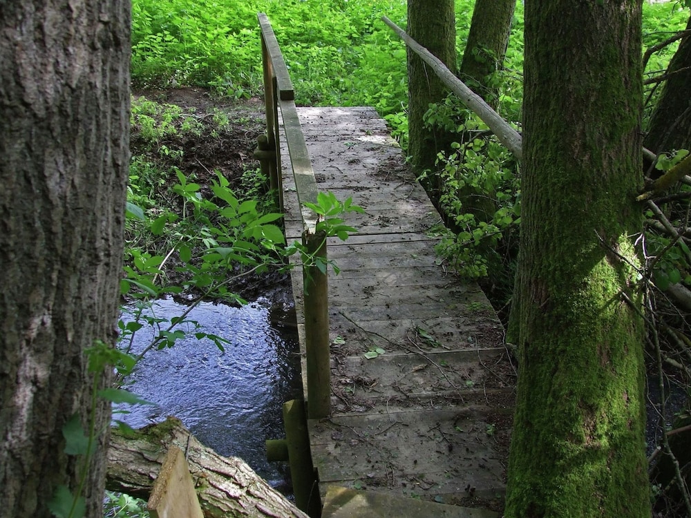 Photo 22