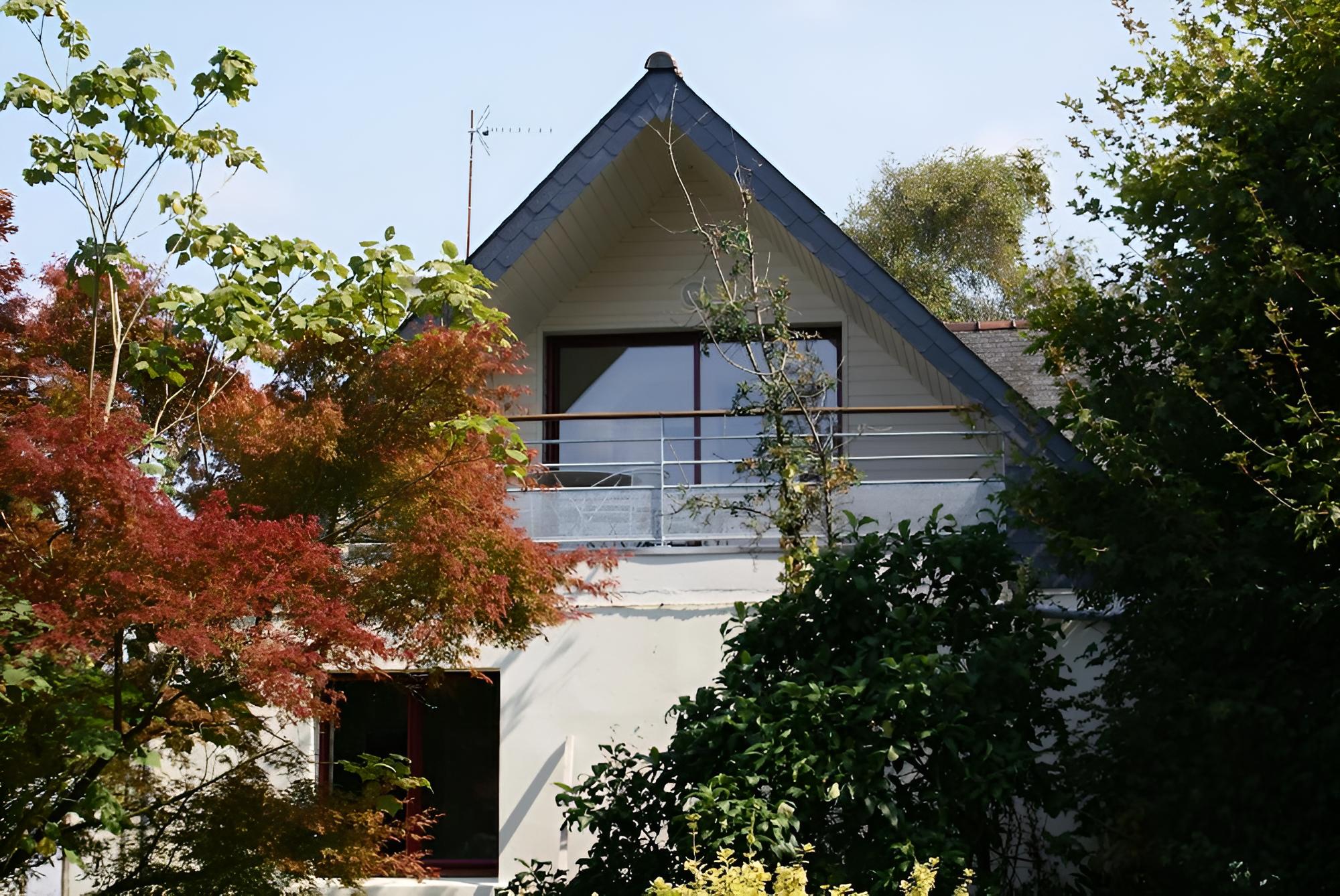 La Canopée des pins
