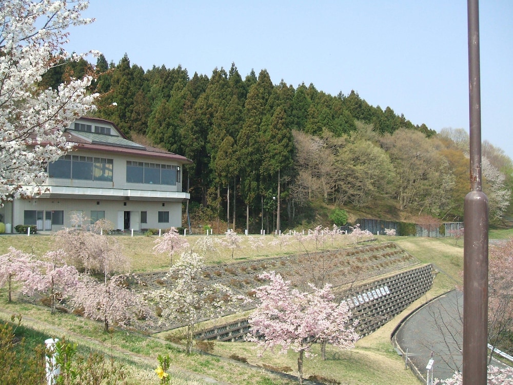 Photo 41