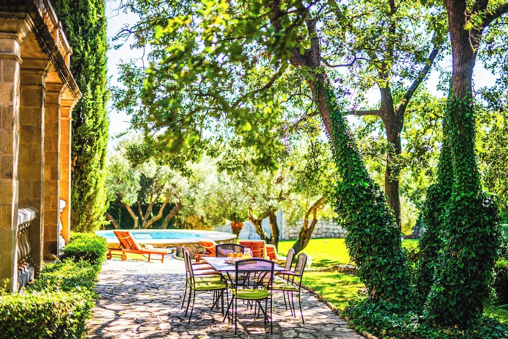 Green Oasis