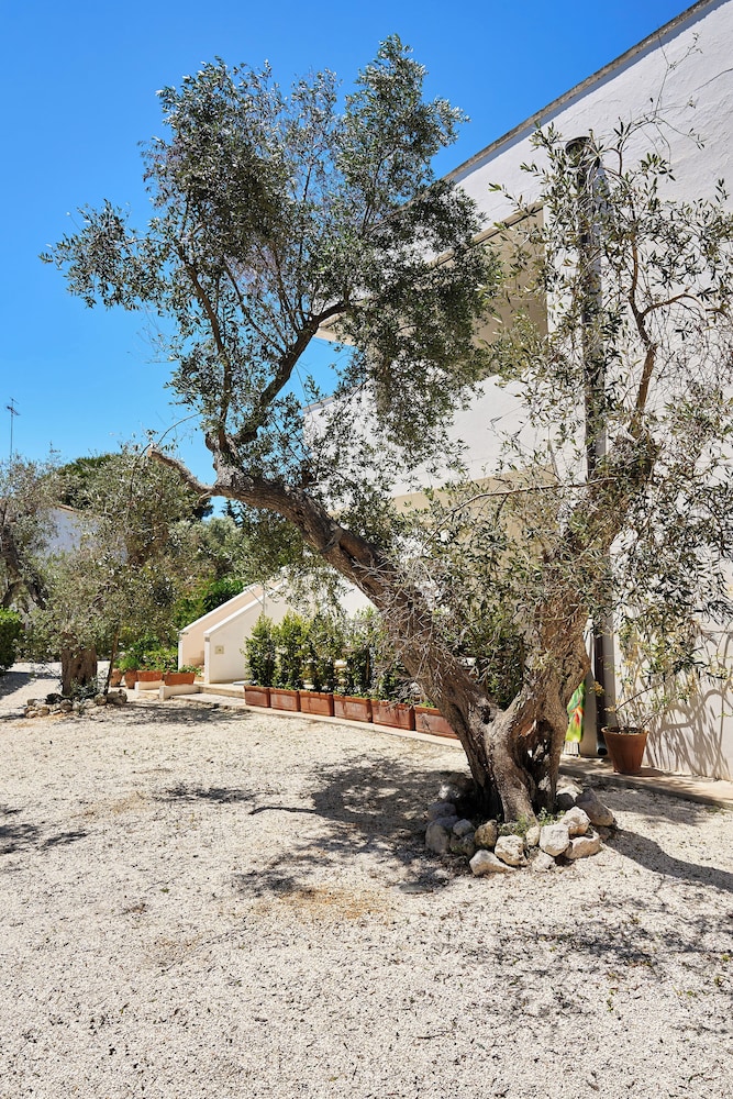 Tenuta Belvedere