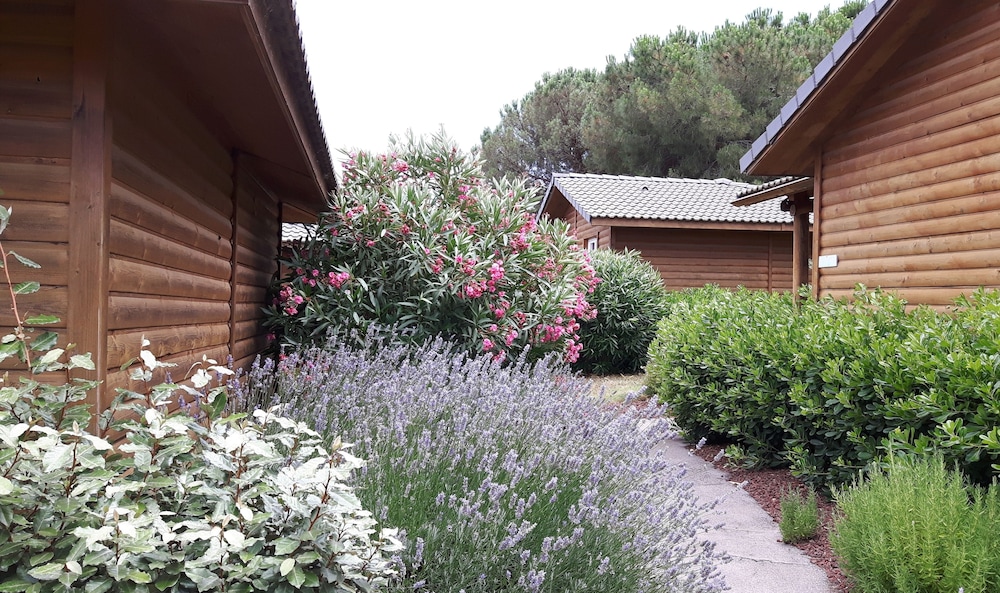 Les Hauts de Baldy