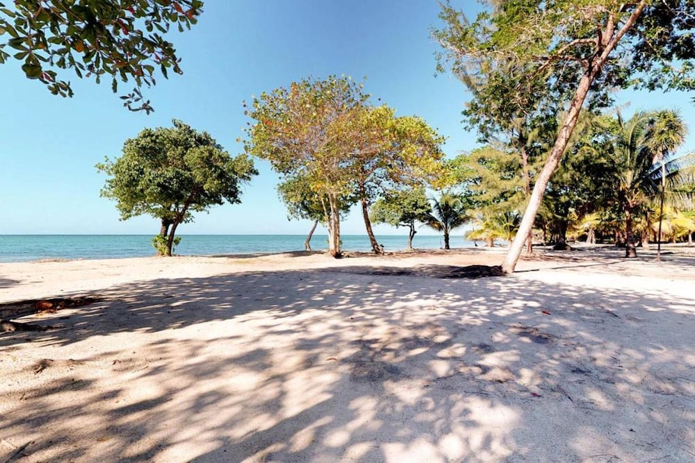 Laru Beya Palmetto Bay