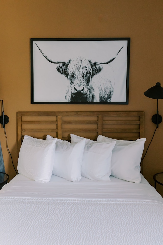 Modern Apartments NEW BRAUNFELS - SK view 4