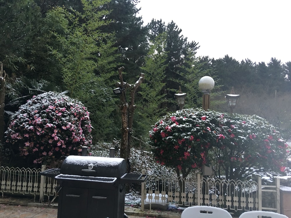 Moncher Guesthouse - Hostel