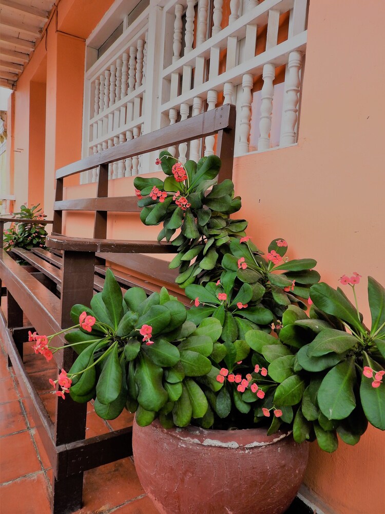 Hostal Don Miguel Cartagena de Indias