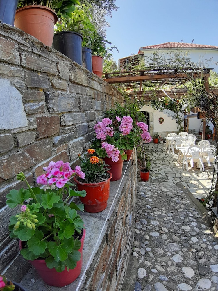 Photo 43