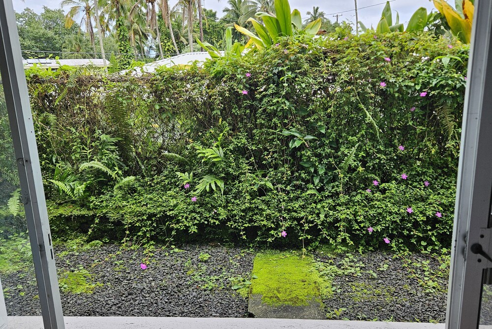 Plumeria Hilo Hotel
