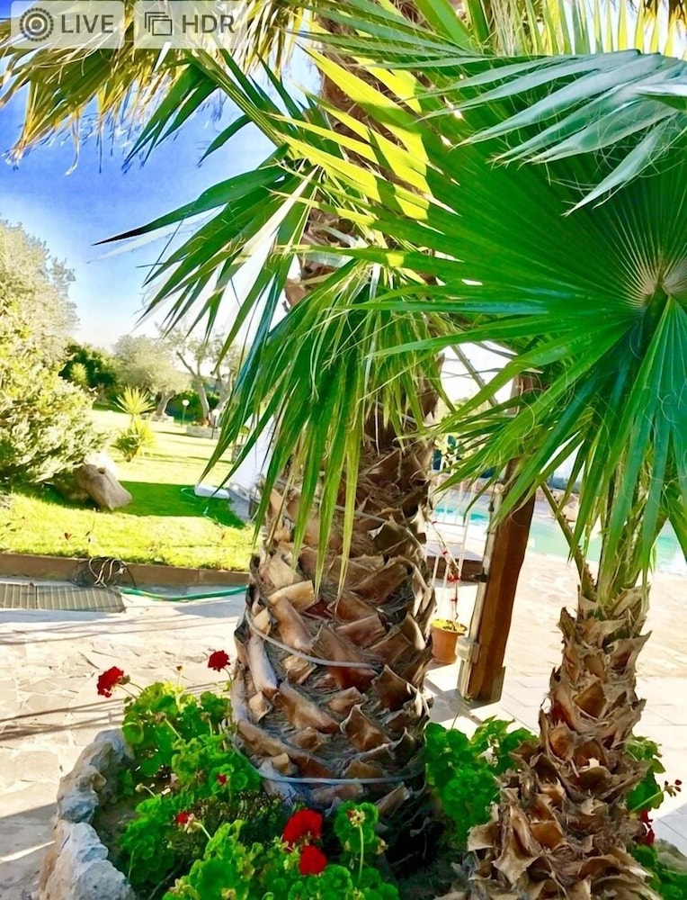 Photo 43