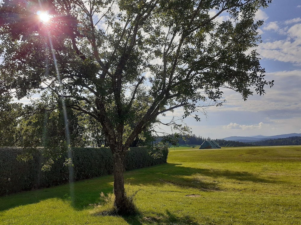 Gasthof Zur Alten Post