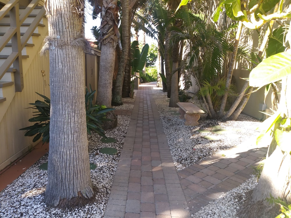Turtle Crawl Inn