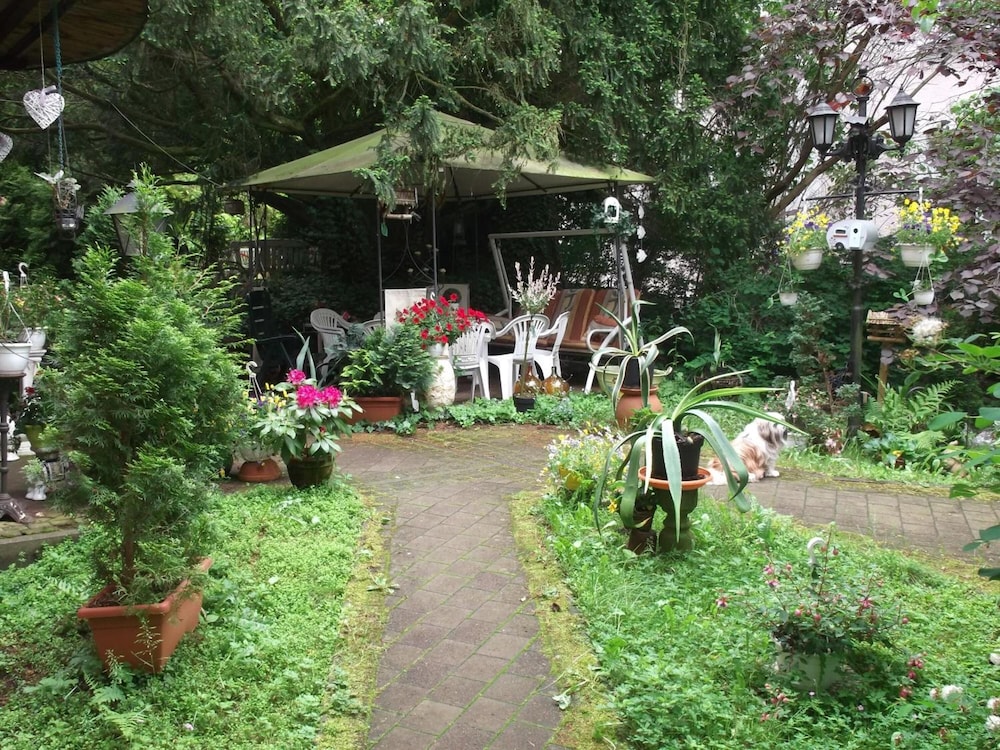 Photo 33