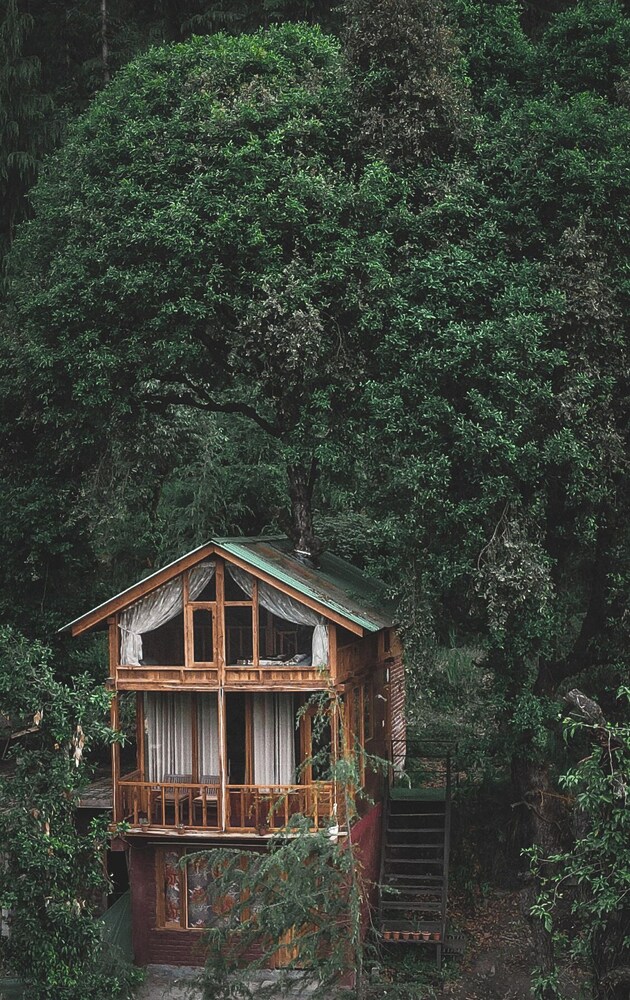 WOW Treehouse & Cottages