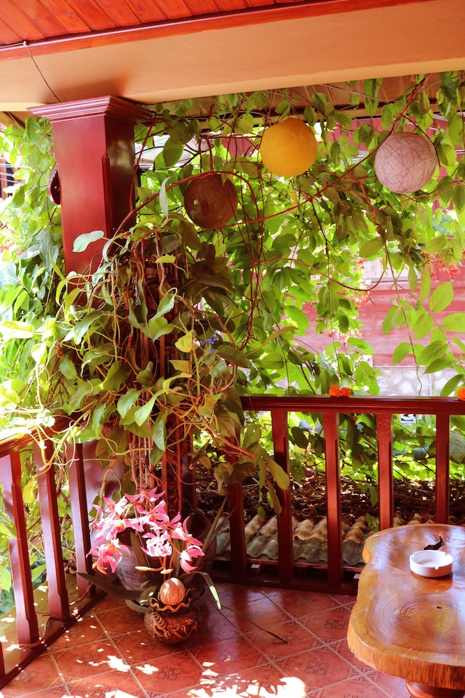Apple Guesthouse