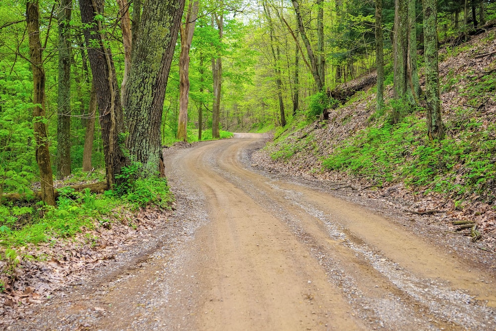 Cabin w/ Trail Access to Mohican River
