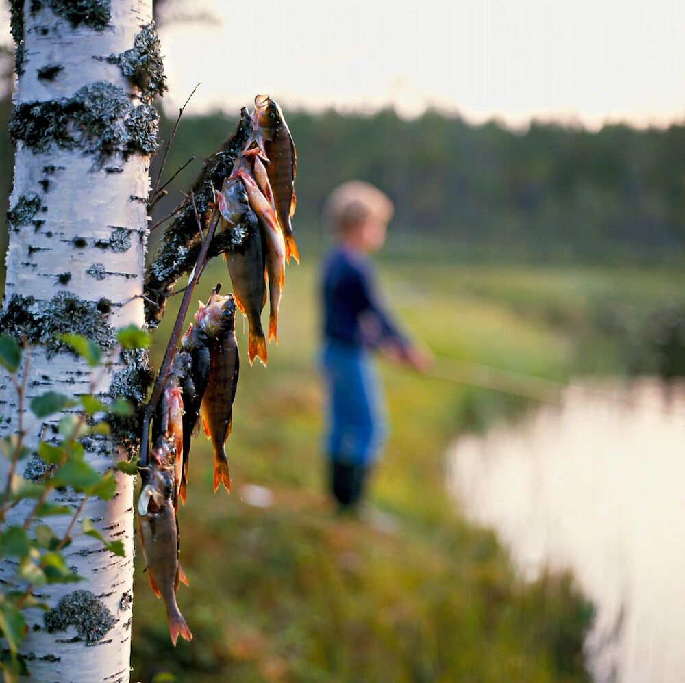 Photo 43