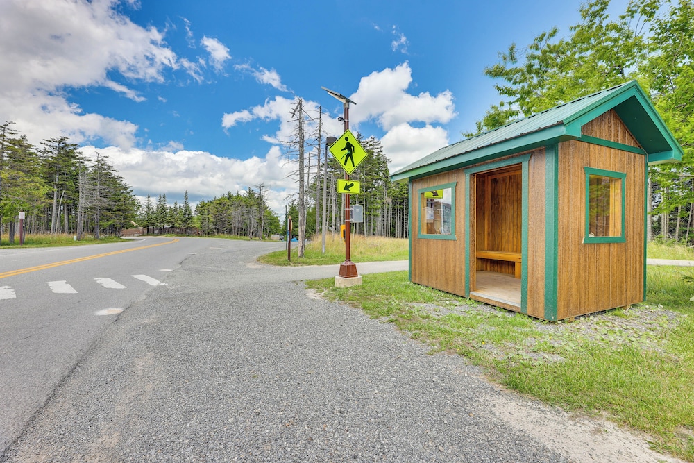 Walk to Slopes: Snowshoe Condo w/ Sunroom view 5
