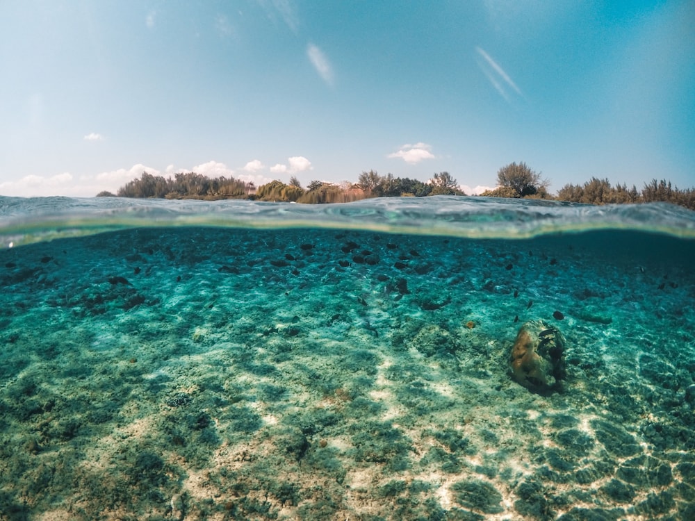 Gili Treehouses