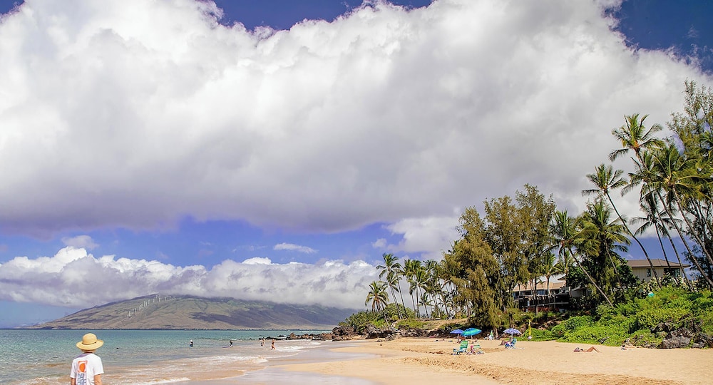 Maui Vista 2-301 - Modern and Bright Renovation in Building 2, No Carpet, AC!