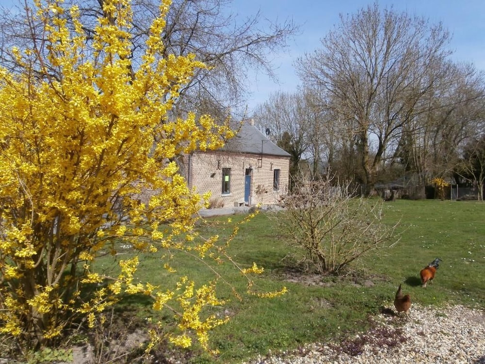 Photo 25
