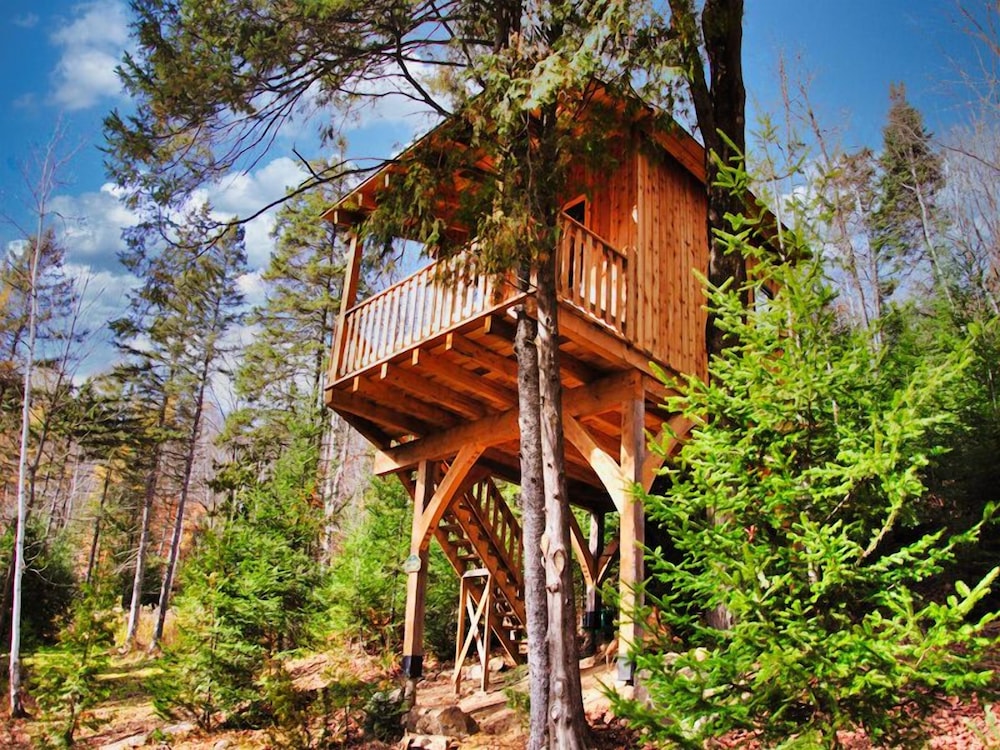 Les Chalets du Trappeur