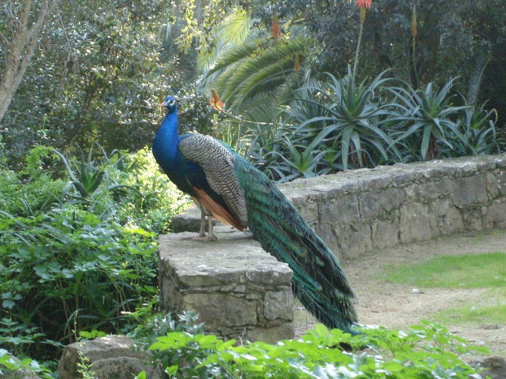 Photo 48