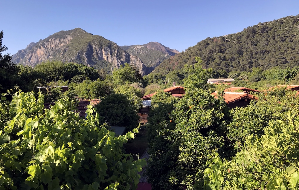 Baris Pension & Bungalows