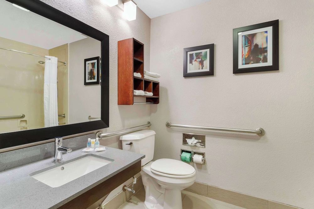 Comfort Suites Shenandoah-The Woodlands - Property Image 21