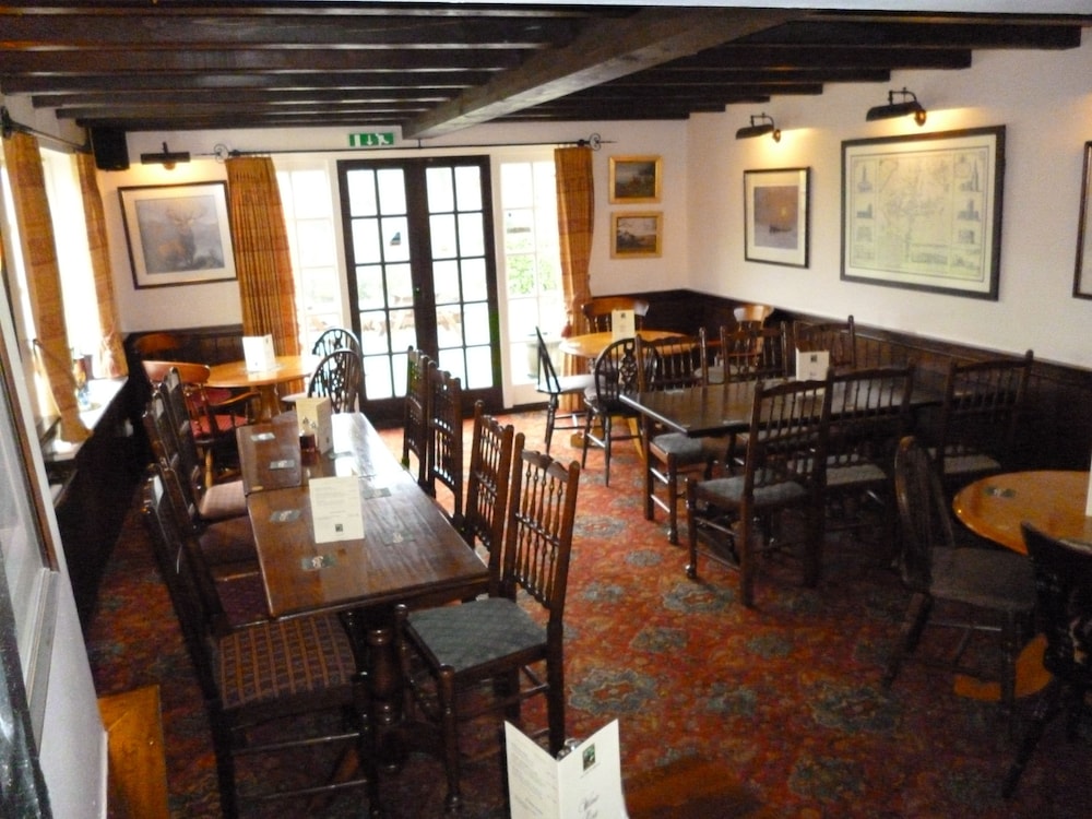The Stag