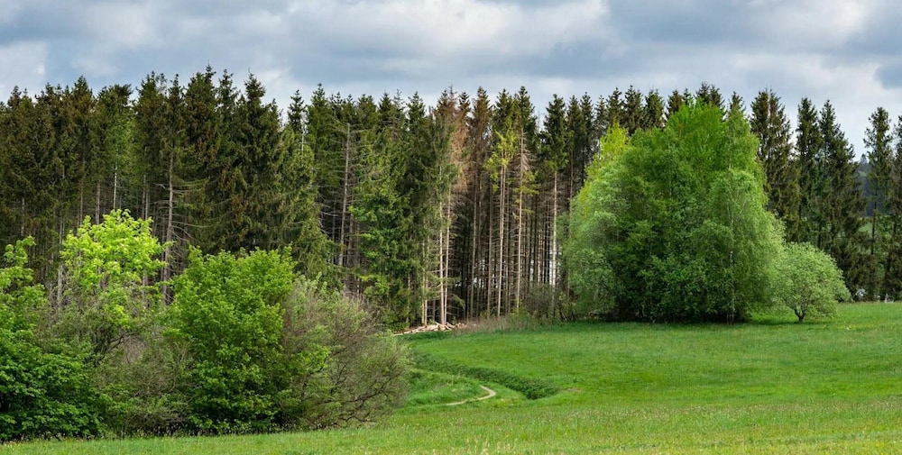 Premium Chalet in Buntenbock