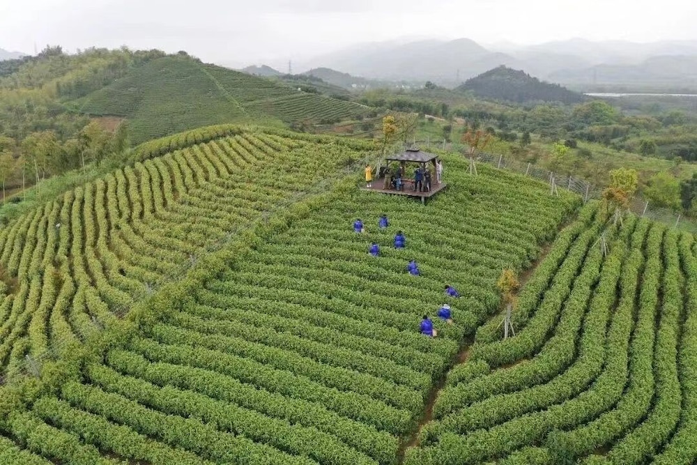 Huzhou Nature Valley