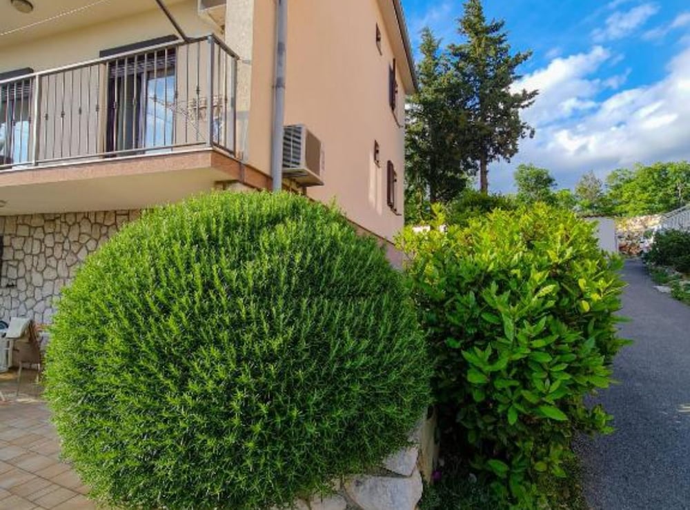 Apartments Marko