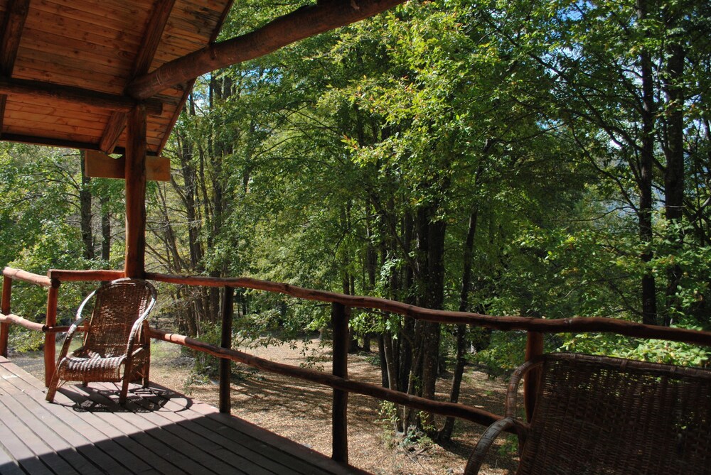 Casa Alto Palguin Pucón
