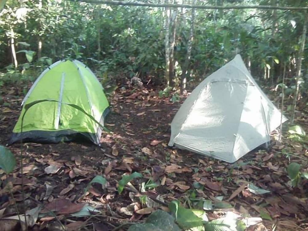 Wimba Jungle Lodge