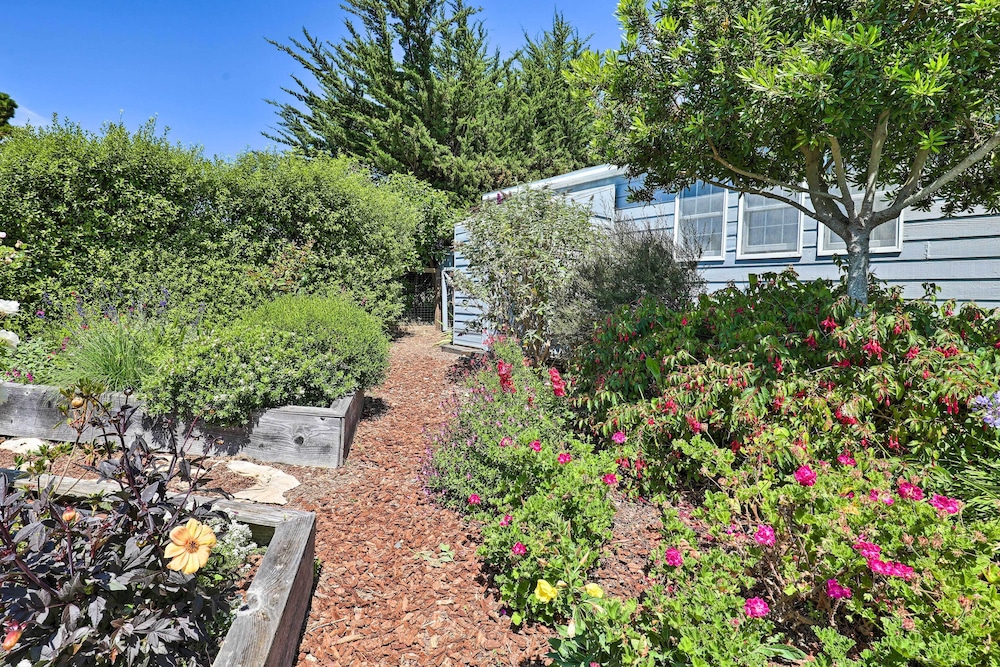 Oceanfront Irish Beach 'sea Haven' Home w/ Hot Tub