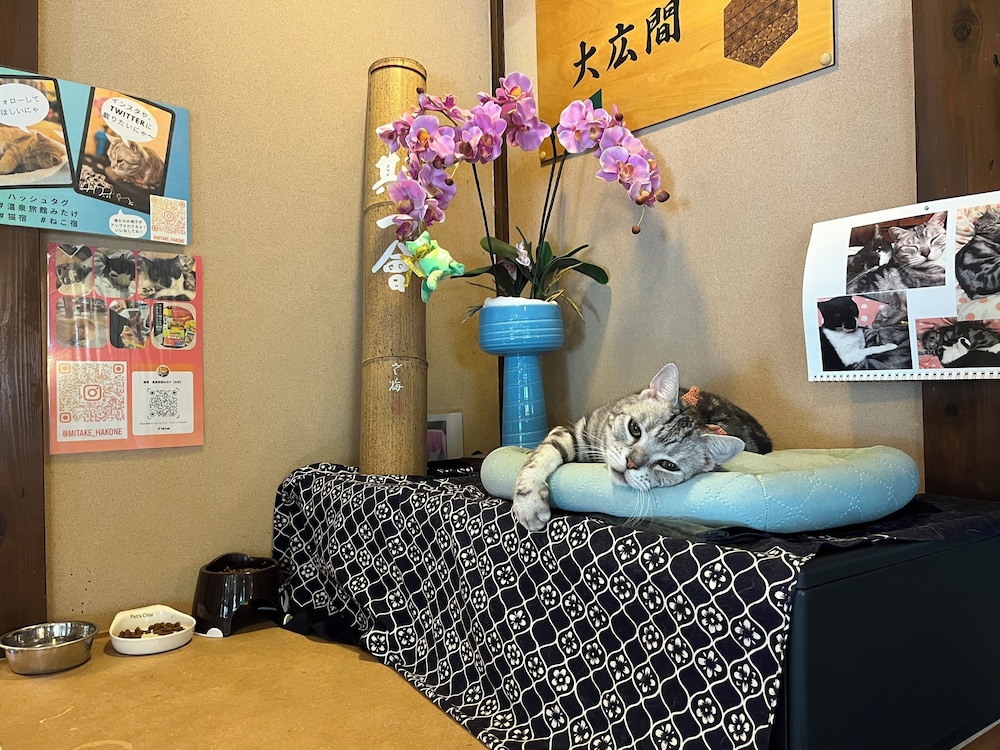 Onsen Ryokan Mitake