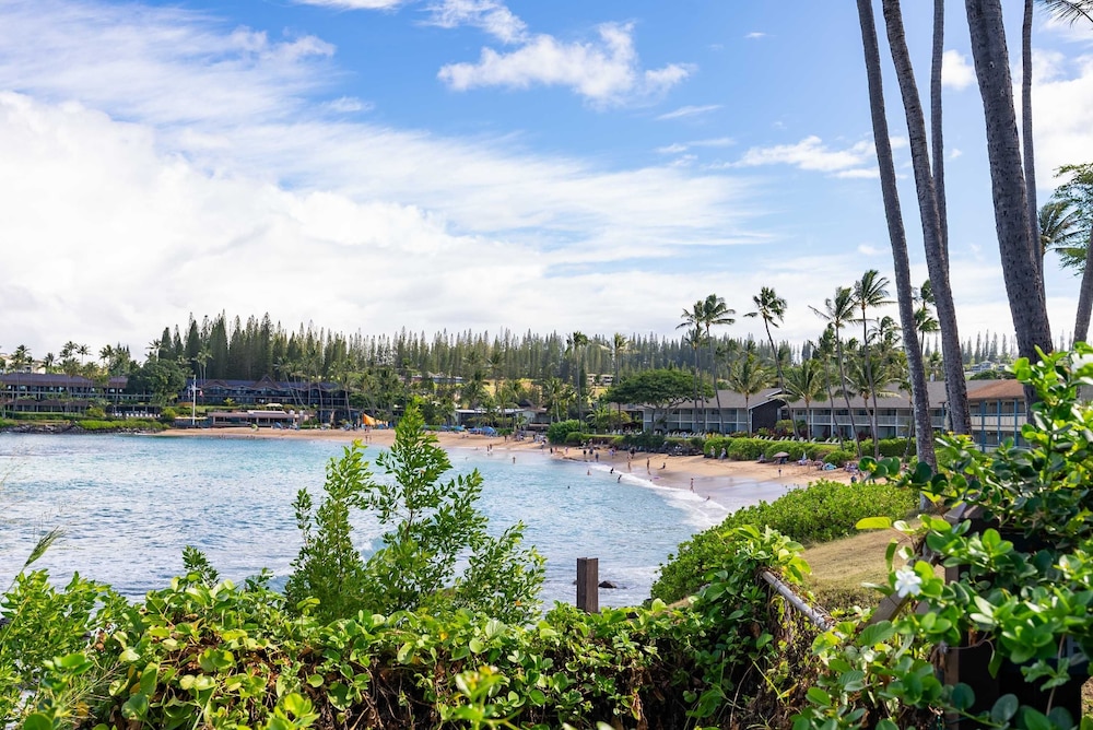 Napili Shores A106 0 Bedroom Condo by RedAwning