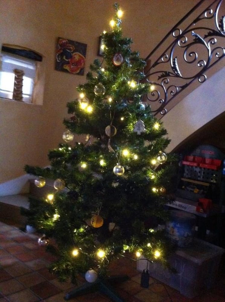 Photo 23