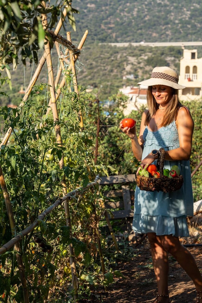 Blue View Villas photo 5